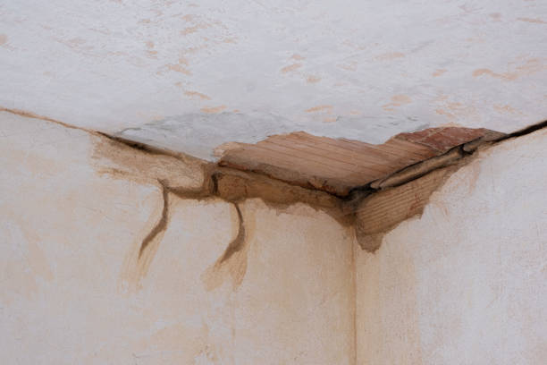 Reliable Stephenville, TX Water damage restoration Solutions