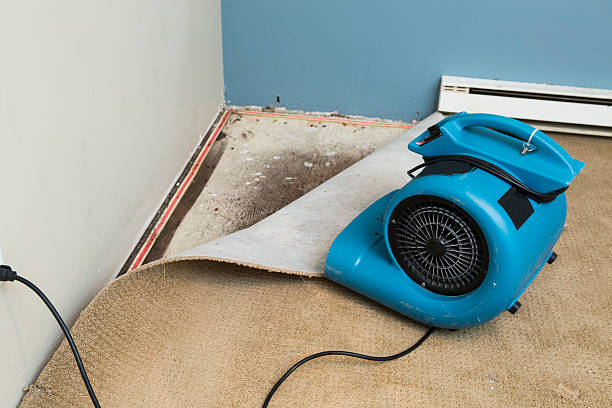 Best Water damage restoration near me  in Stephenville, TX
